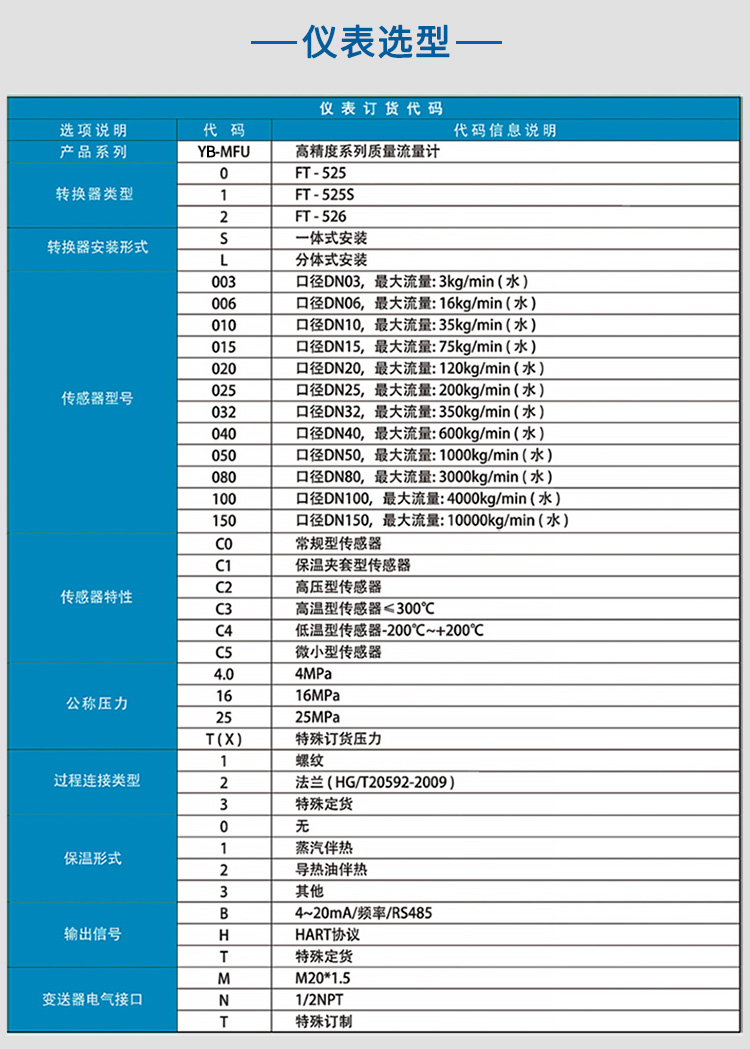 防爆質(zhì)量流量計(jì)選項(xiàng)表